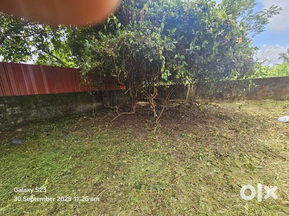 Land area of 6.140 cents for sale