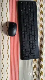Dell Computer keyboard and mouse
