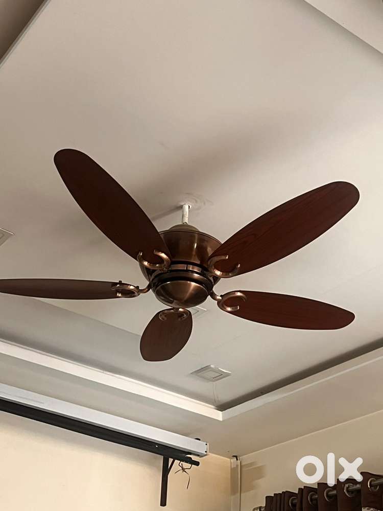 Polycab celing Fan