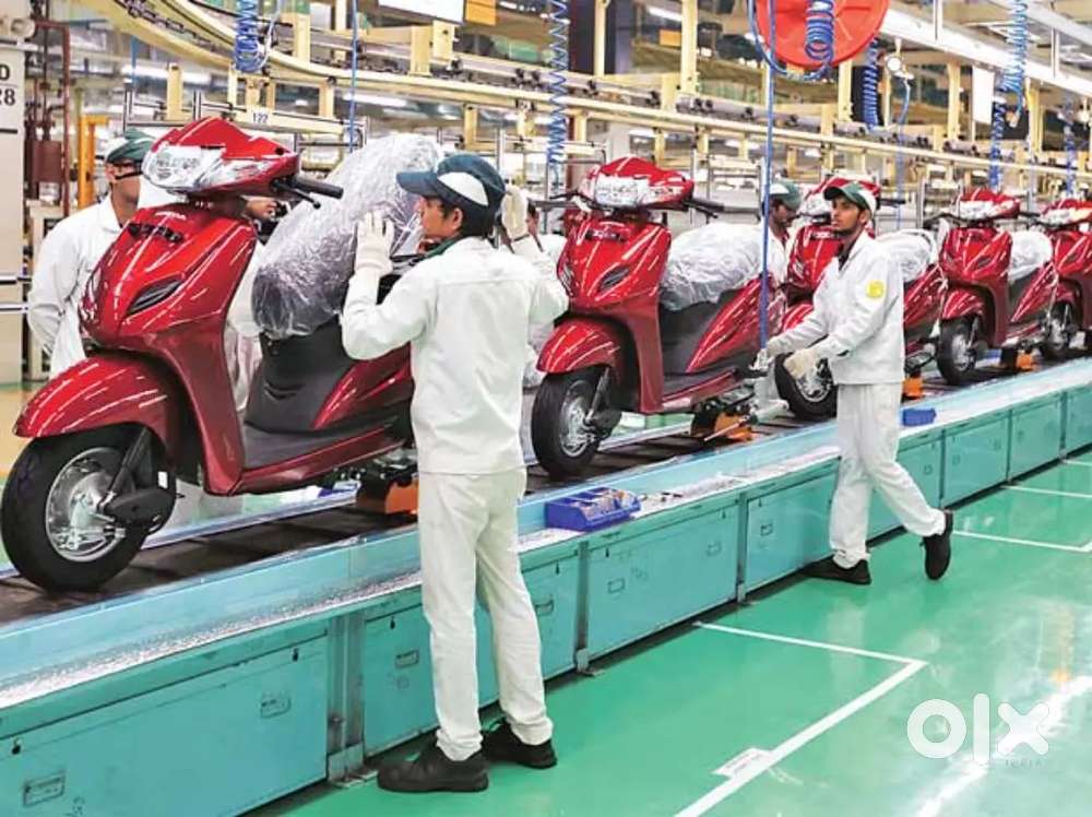 Were hiring freshers for job