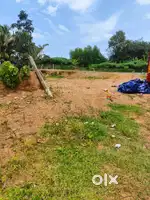 Land 5 cent