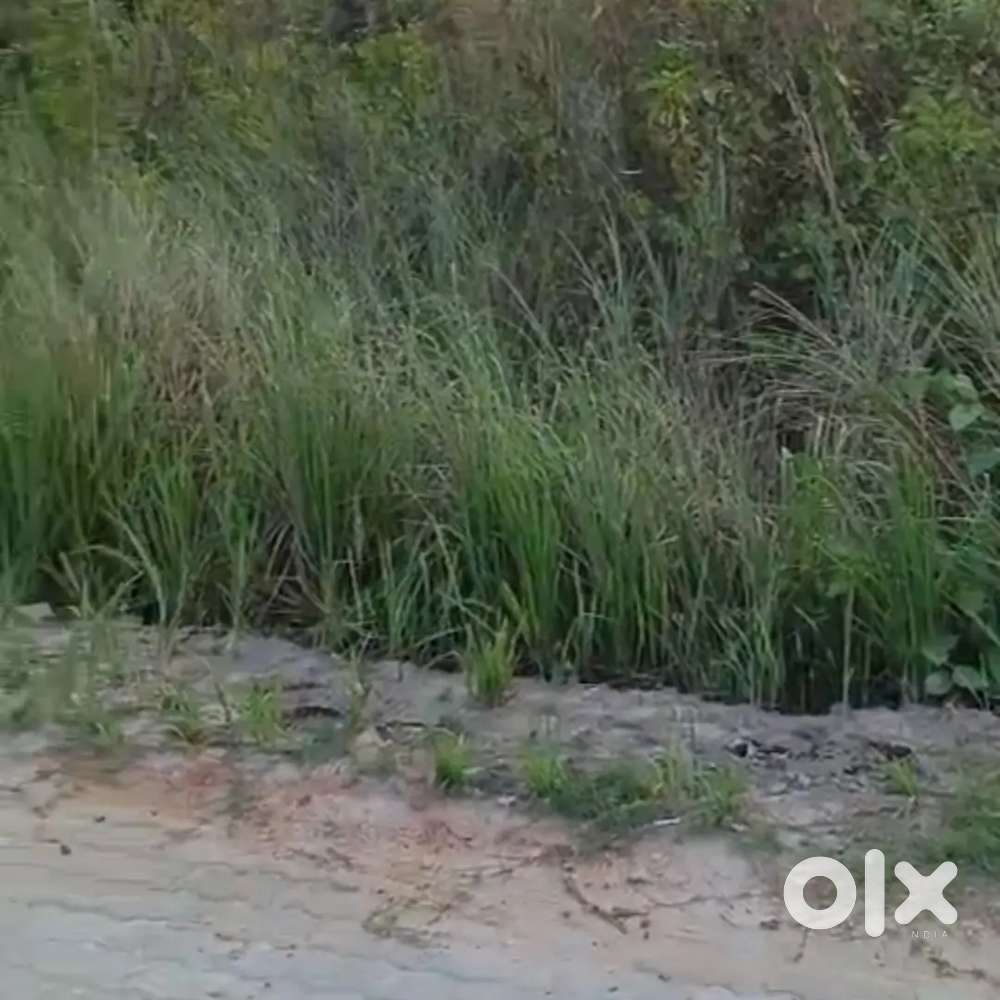 Near GNRC HOSPITAL, North Guwahati, IIT