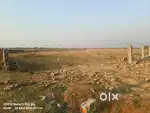 Bhojla mandi ke bagal me 30 fit road pr plots sale karna hai