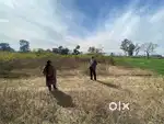 300 gaz plot chhabra kushalpur vikasnagr highway
