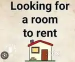 Looking for room to rent