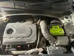 Full condition  no scarsch