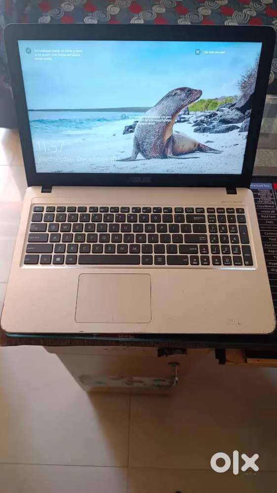 Asus Laptop