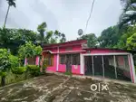 House for sale at betbari