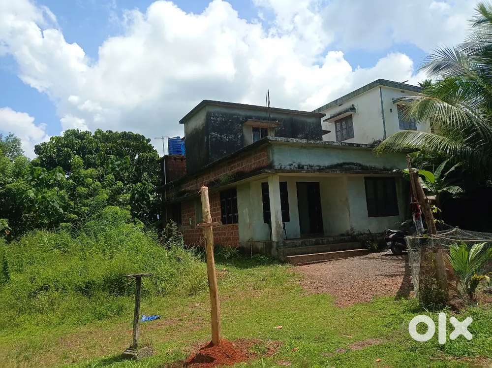 അത്യാവശ്യം സൗകര്യം ഉള്ള വീട്