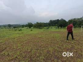 Agriculture Land Sale in Mangaon Raigad