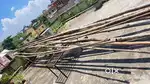 Bamboo for construction