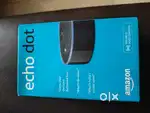 Amazon echo dot alexa