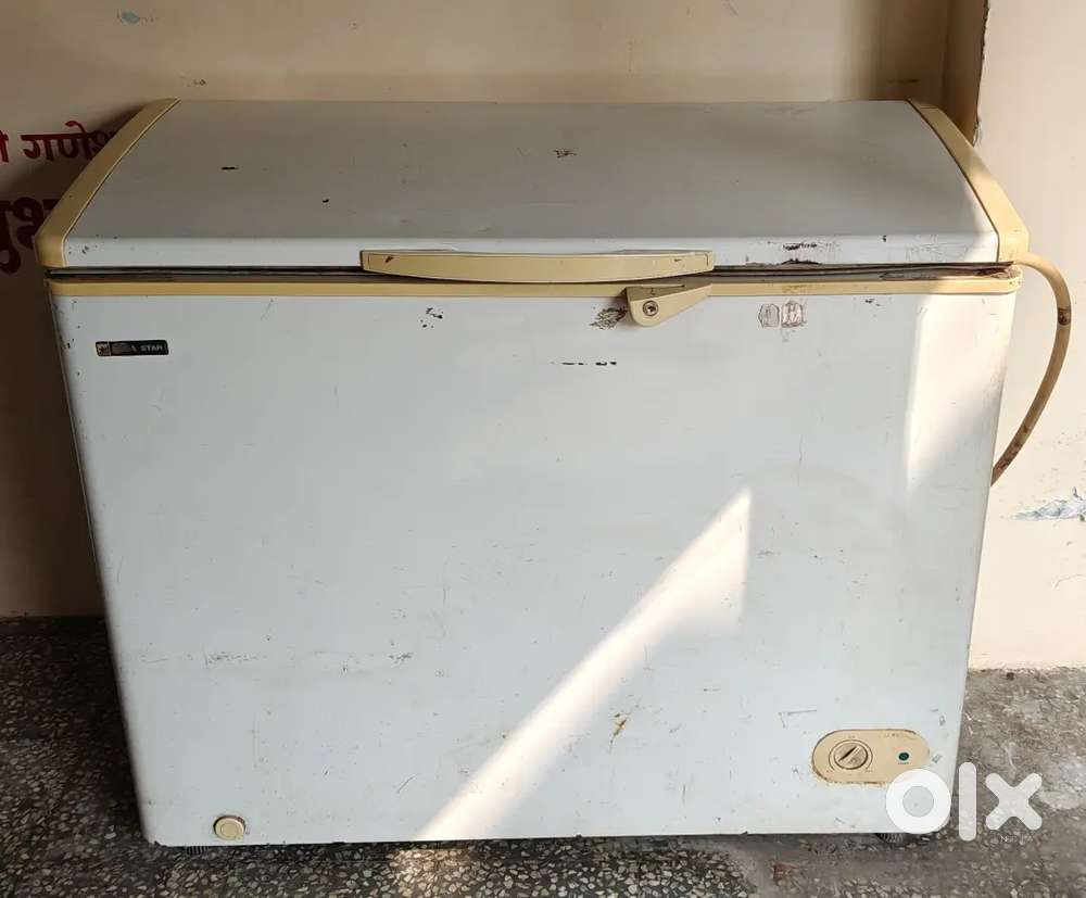 Bluestar Deep Freezer of sale - Ice Cream Friedge