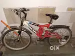 Great cycle