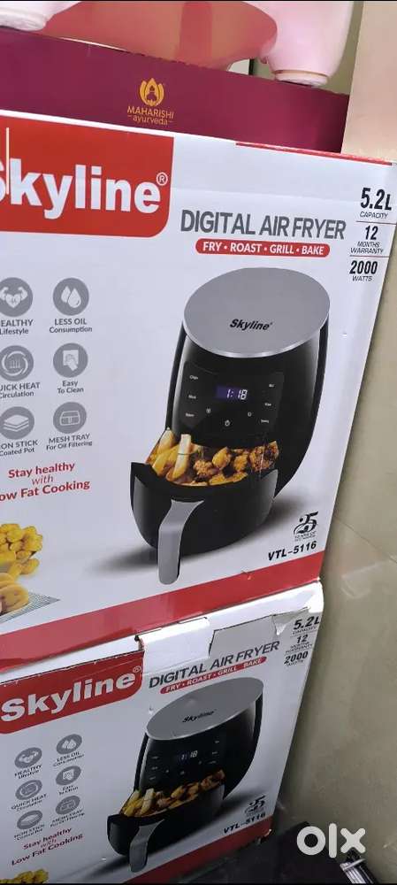 Skyline air fryer