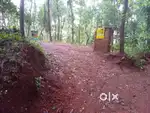 Plot for sale