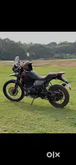 Himalayan 411