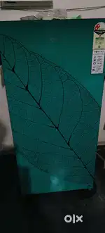 Hair ka fridge
