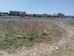 Plot for sale in nayagaon