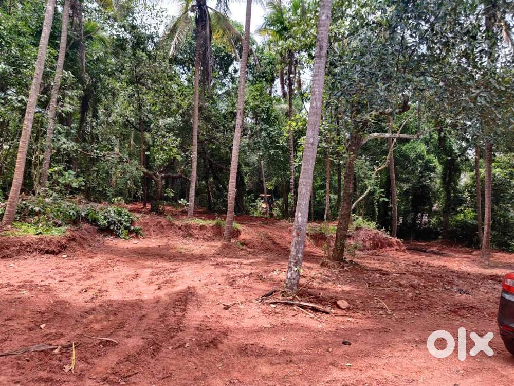 23.5 Cent Residential Land For Sale at Thottada, Kannur (nz)