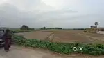 4 bigha plot on sale