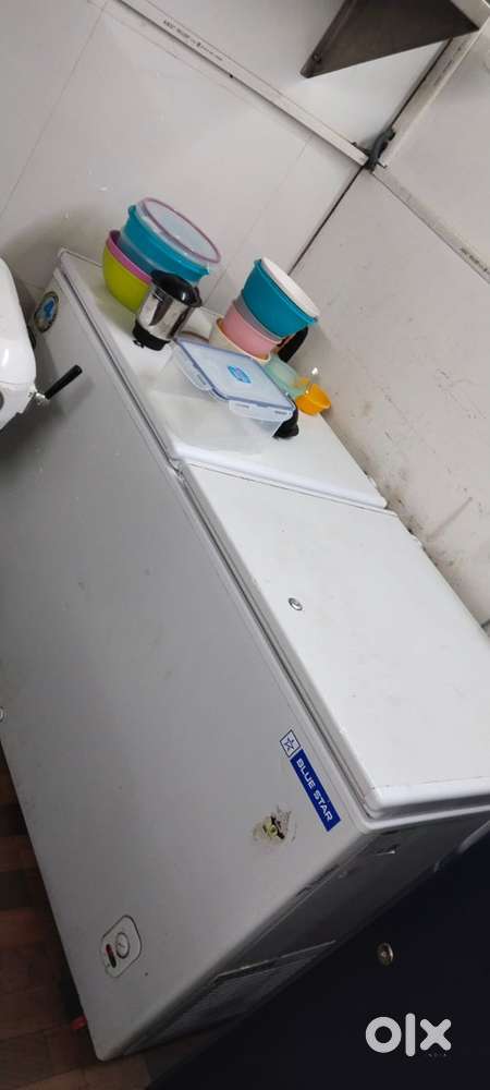 Commercial Bluestar Deep Freezer
