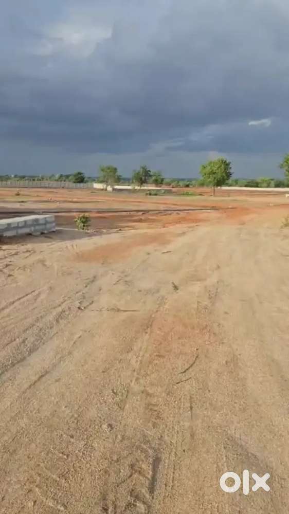 Low Budget and affordable prices plots in Kodangal