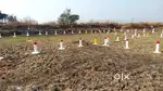 3.0 NA plots