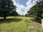 एग्रीकल्चर लैंड