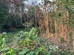 Big plot approx 63 cents available for immediate sale