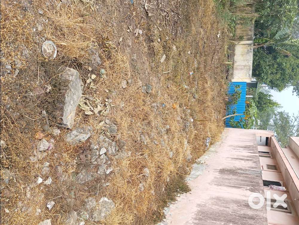Plot for Sale in Palangi