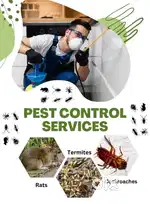 PEST CONTROL SERVICES AVAILABLE FOR COCKROACH AND TERMITE SERVICE