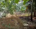 Tar road frontage 10 cent plot with old house at Vaduthala Enakulam
