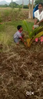 Plot for sale. Per sq just 2200.