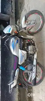 A1 cindicon