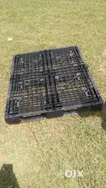 Used plastic pallets for sale. Black and blue colour.