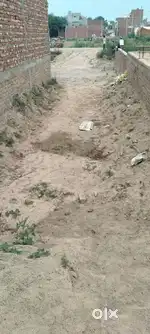 15by 45 plot 75 gaj in jampur
