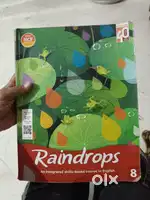 Class 8 raindrop
