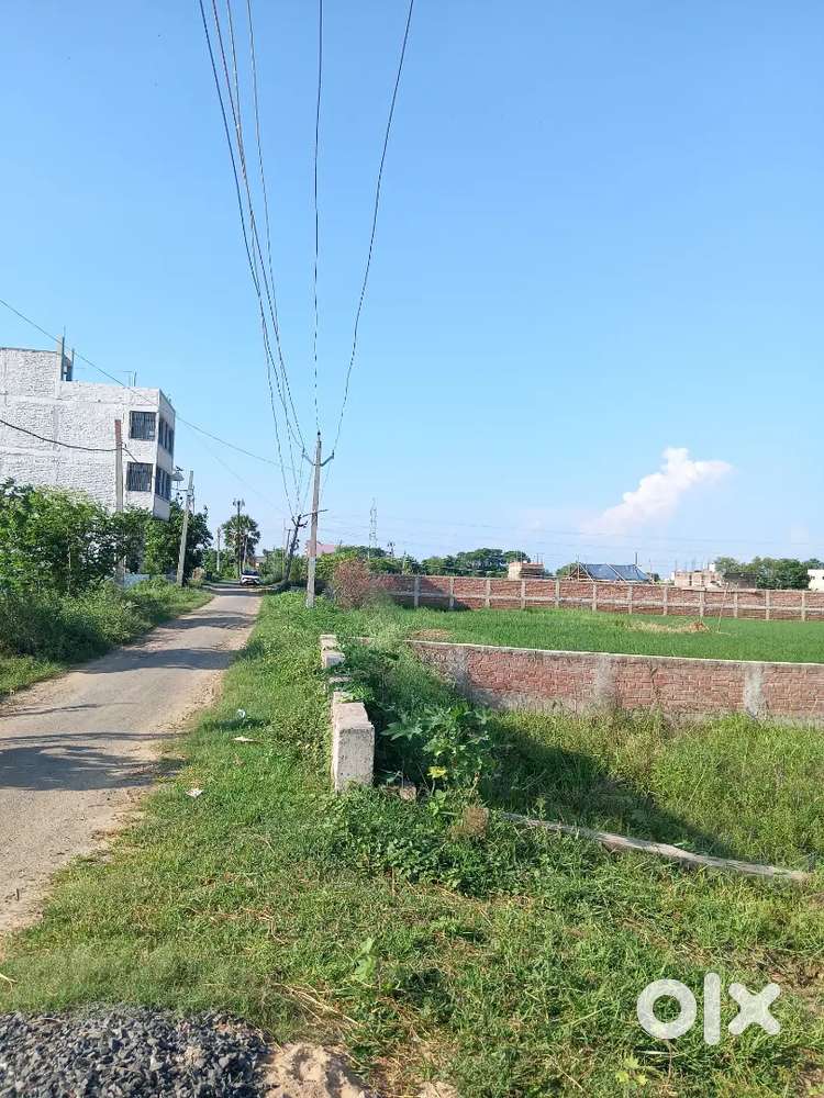 Sampatchak Sohgi me best residential plot developing location