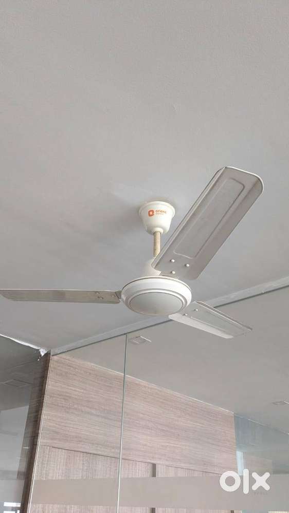 Orient Electric 1200 mm Ceiling Fan – 1 Unit Available