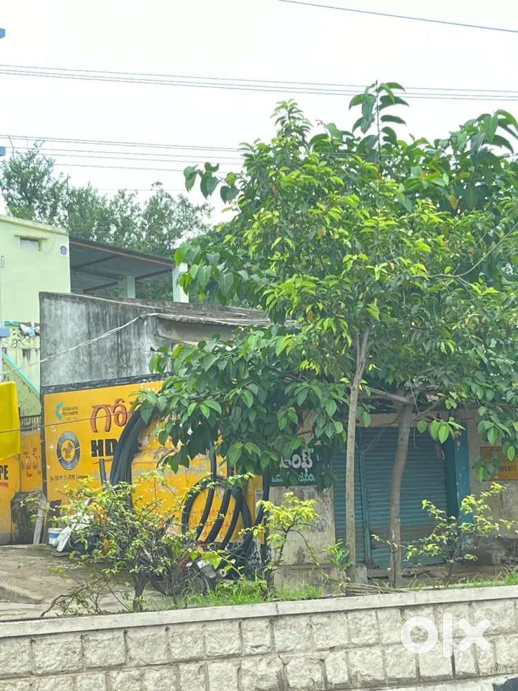 One single shetter 50sqr yards near,yellandu bus stand govind center