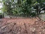 5.5 Cent Plot for Sale Near Valiyavila, Trivandrum