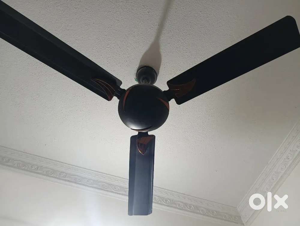Ceiling fan