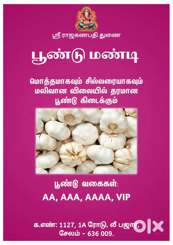 GARLIC WHOLESALE
