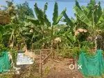 20 cents for sale at Pipeline to Cusat road frontage.