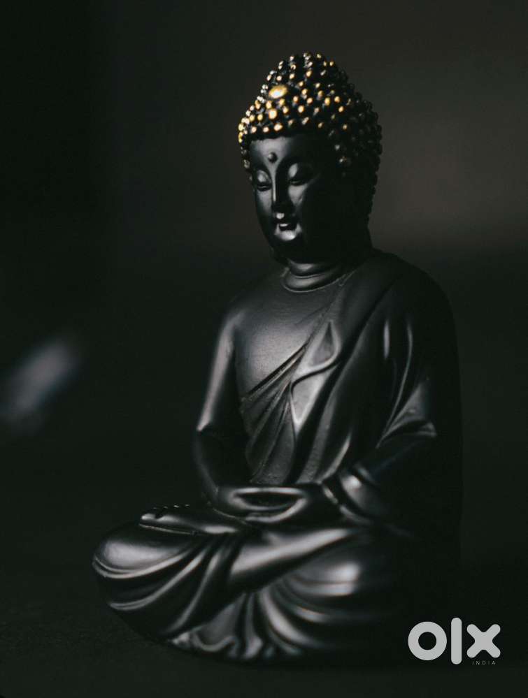 Need reception and therapist only for girls