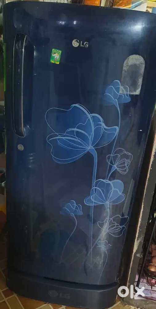 LG fridge fridge