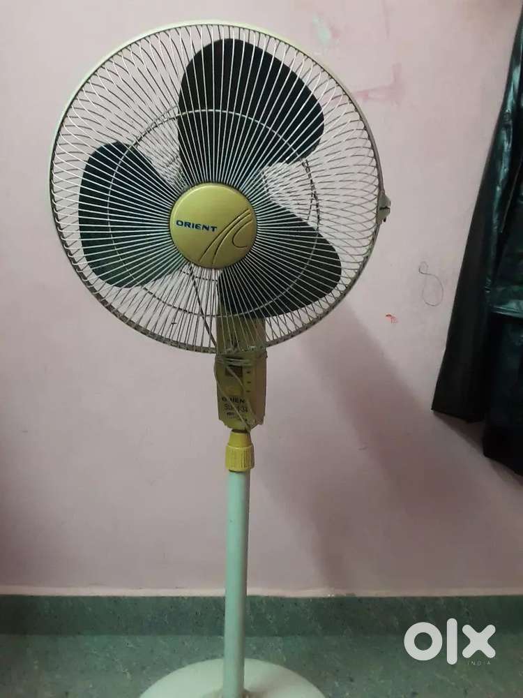 Standing Fan