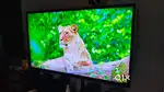 VU 32 inch LED IPS Full HD TV