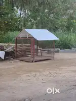 Beautiful Pet  house